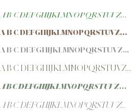 Parnaso Hairline Trial