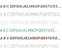Flink Neue Text Cmp Test