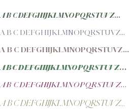 Parnaso Display Trial