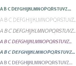 TCCSANS