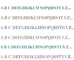 Bodoni* 16