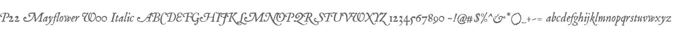 P22 Mayflower W00 Italic