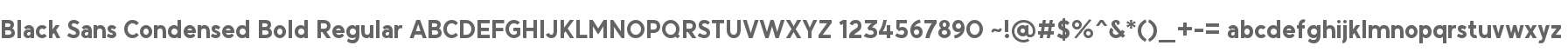 Black Sans Condensed Bold Regular