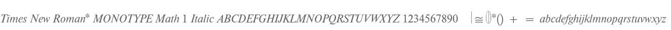 Times New Roman* MONOTYPE Math 1 Italic