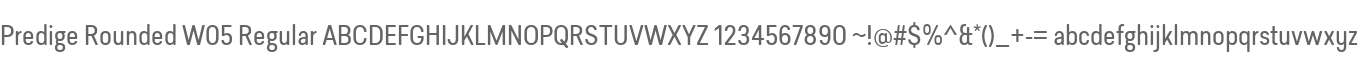 Predige Rounded W05 Regular