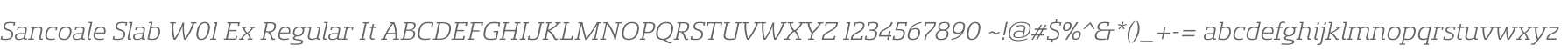 Sancoale Slab W01 Ex Regular It
