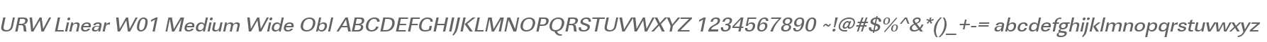 URW Linear W01 Medium Wide Obl