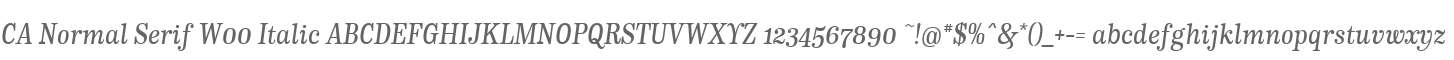 CA Normal Serif W00 Italic