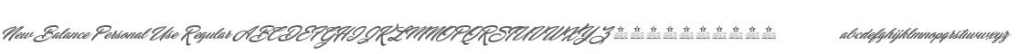New Balance Personal Use Regular