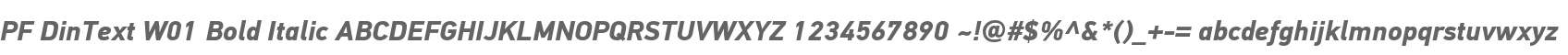 PF DinText W01 Bold Italic