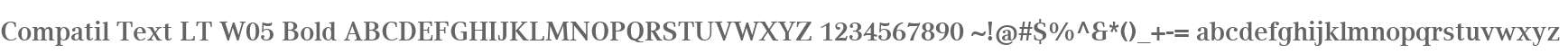 Compatil Text LT W05 Bold