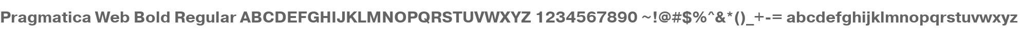 Pragmatica Web Bold Regular