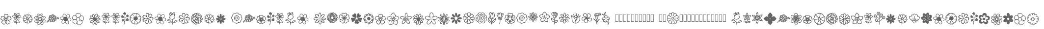 Flowery Illustration Regular