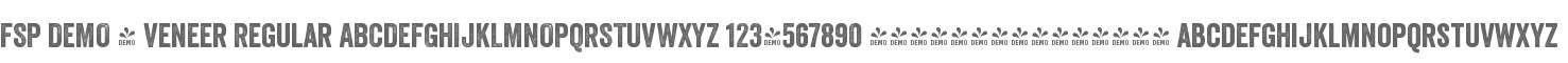 FSP DEMO - Veneer