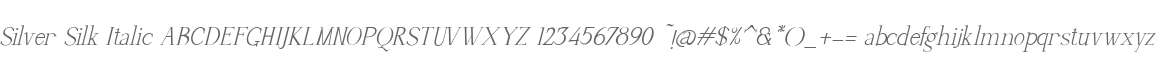 Silver Silk Italic