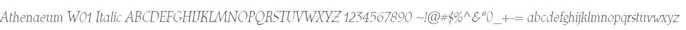 Athenaeum W01 Italic