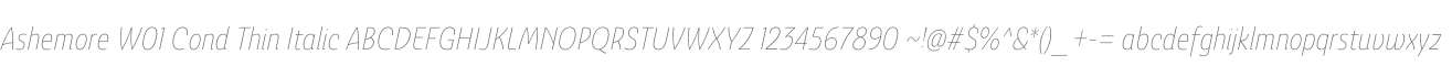 Ashemore W01 Cond Thin Italic