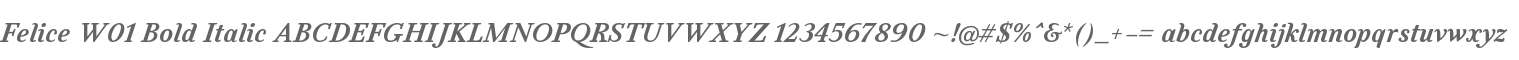Felice W01 Bold Italic