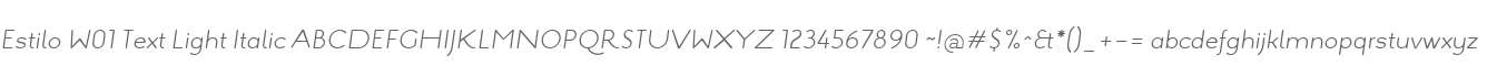 Estilo W01 Text Light Italic