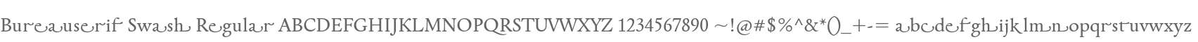Bureauserif Swash Regular