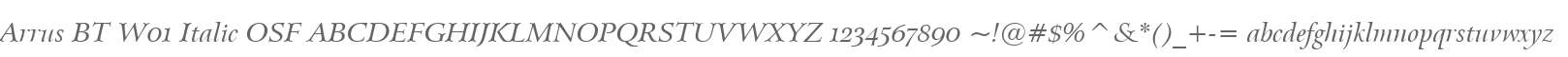 Arrus BT W01 Italic OSF