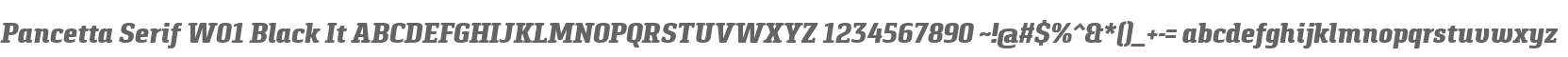 Pancetta Serif W01 Black It