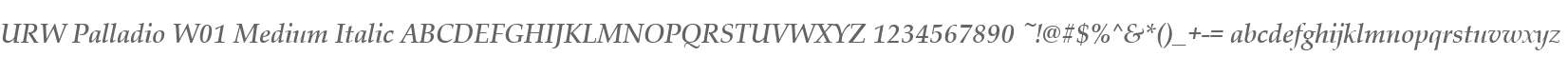 URW Palladio W01 Medium Italic