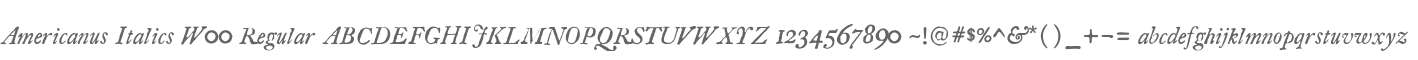 Americanus Italics W00 Regular