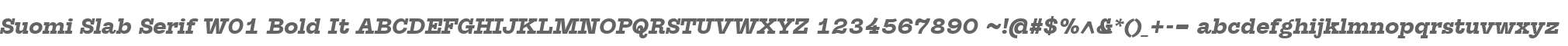 Suomi Slab Serif W01 Bold It