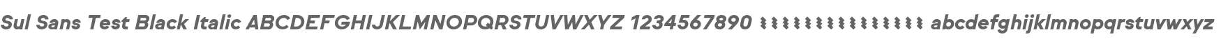 Sul Sans Test Black