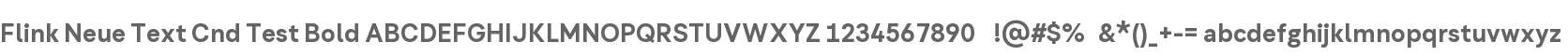 Flink Neue Text Cnd Test
