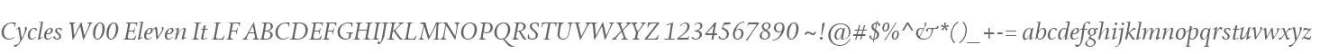 Cycles W00 Eleven It LF
