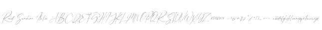 Road Sunshine Italic