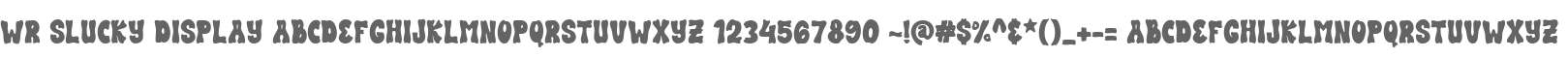 WR Slucky Display