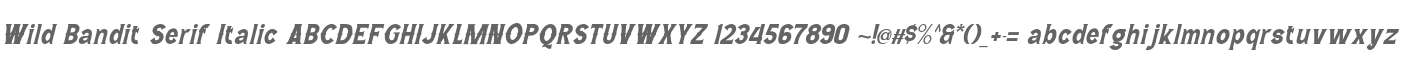 Wild Bandit Serif