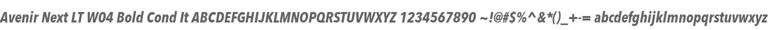 Avenir Next LT W04 Bold Cond It