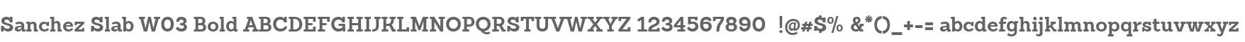 Sanchez Slab W03 Bold
