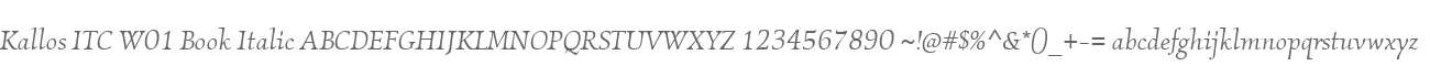 Kallos ITC W01 Book Italic
