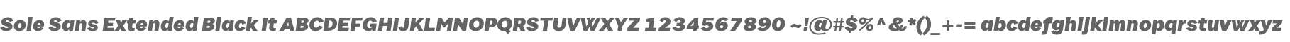 Sole Sans Extended Black