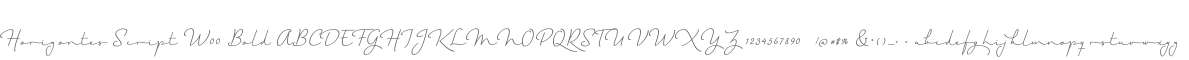 Horizontes Script W00 Bold
