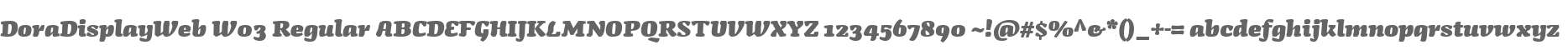 DoraDisplayWeb W03 Regular