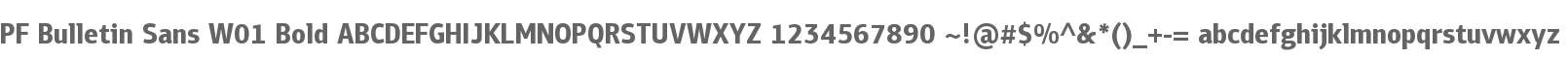 PF Bulletin Sans W01 Bold