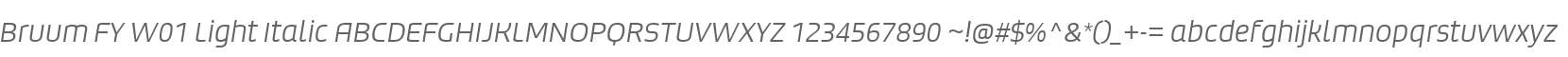 Bruum FY W01 Light Italic