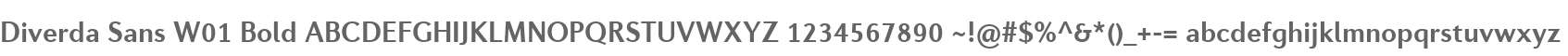 Diverda Sans W01 Bold