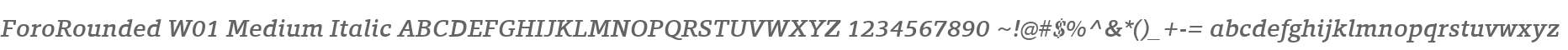 ForoRounded W01 Medium Italic