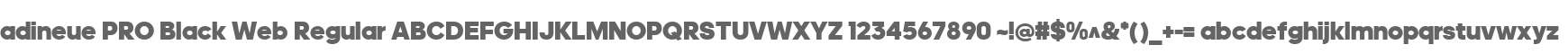 adineue PRO Black Web Regular