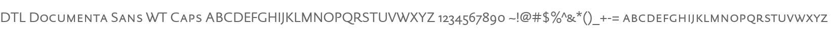 DTL Documenta Sans WT Caps