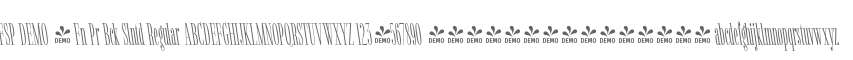 FSP DEMO - Fn Pr Bck Slntd