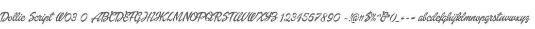 Dollie Script W03 0