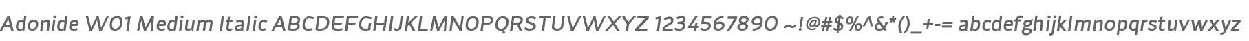 Adonide W01 Medium Italic